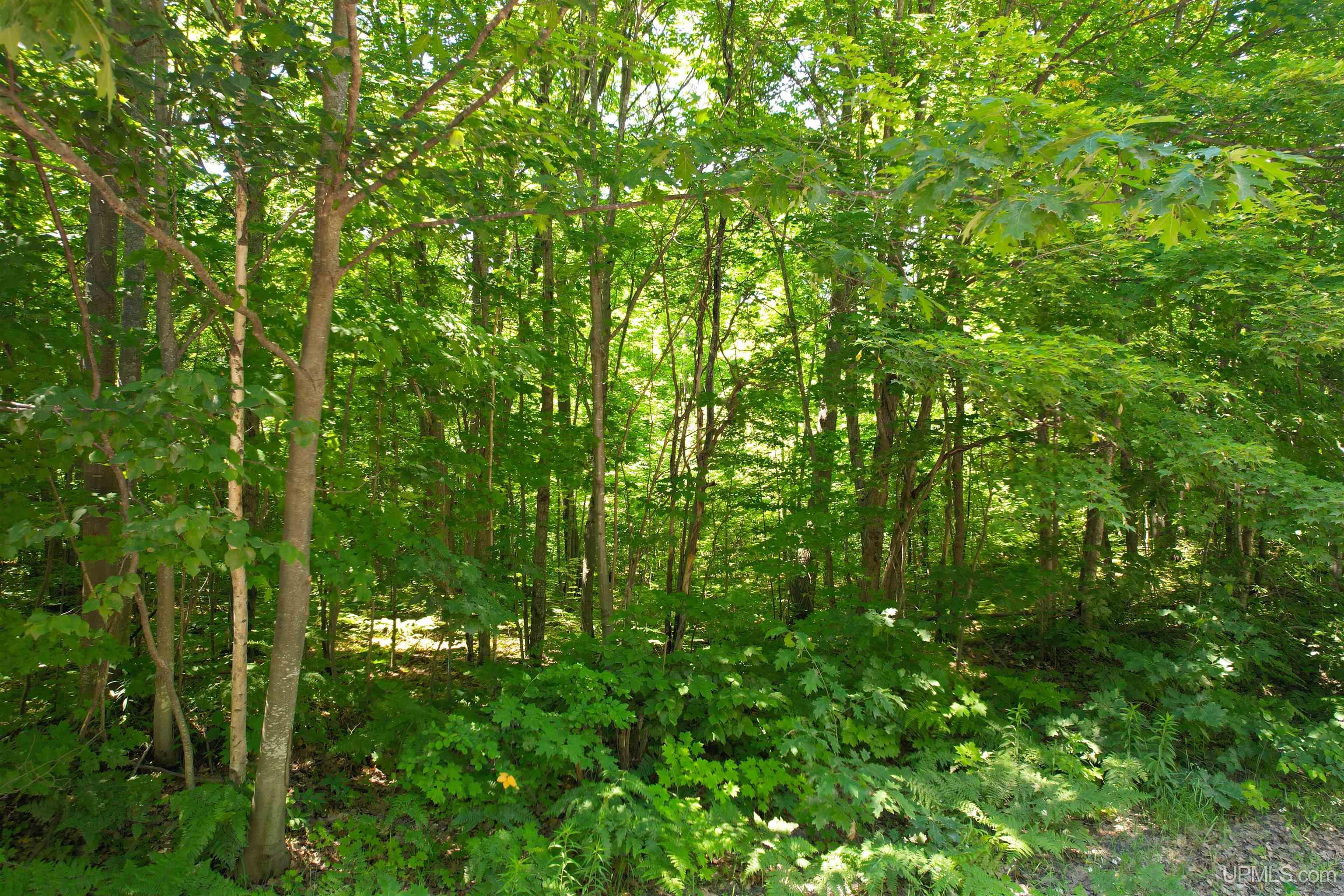 Tbd Superior Shores Road Atlantic Mine, MI 49905 - Photo 21 of 27