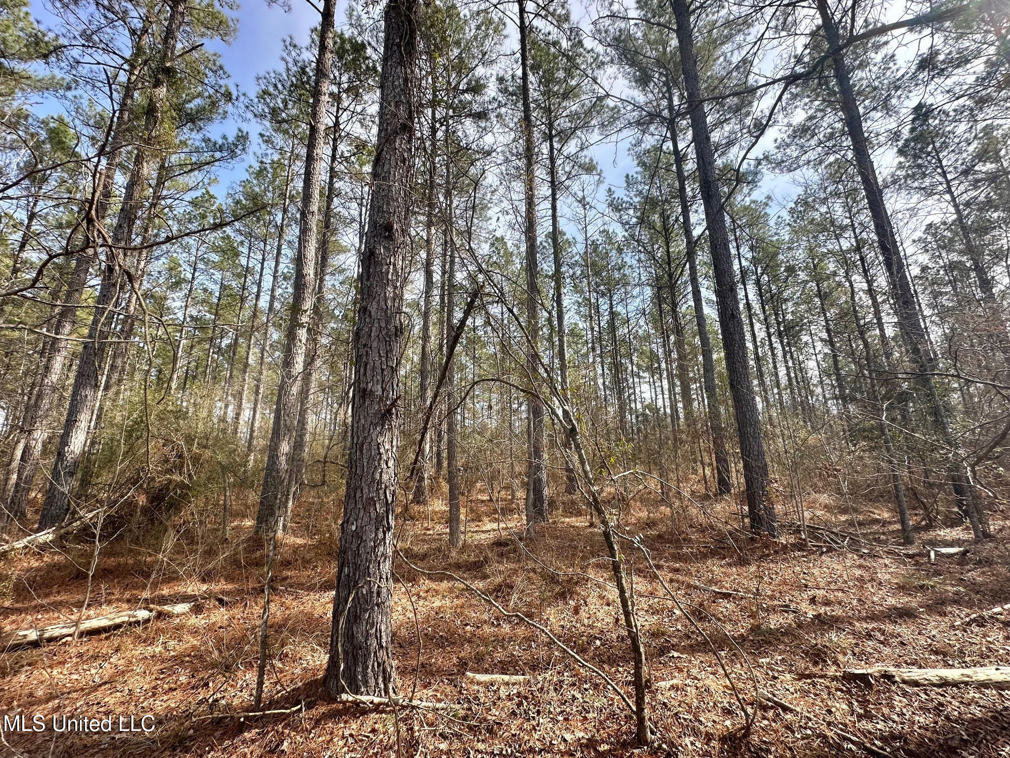 10 Dry Grove Road Terry, MS 39170 - Photo 12 of 46 513