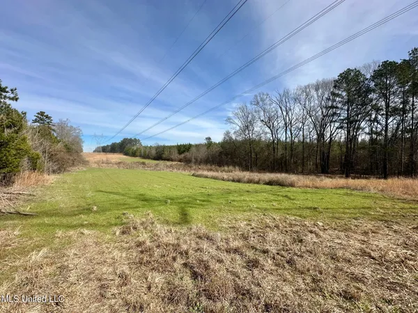 $595,000 | 10 Dry Grove Road, Terry, MS 39170