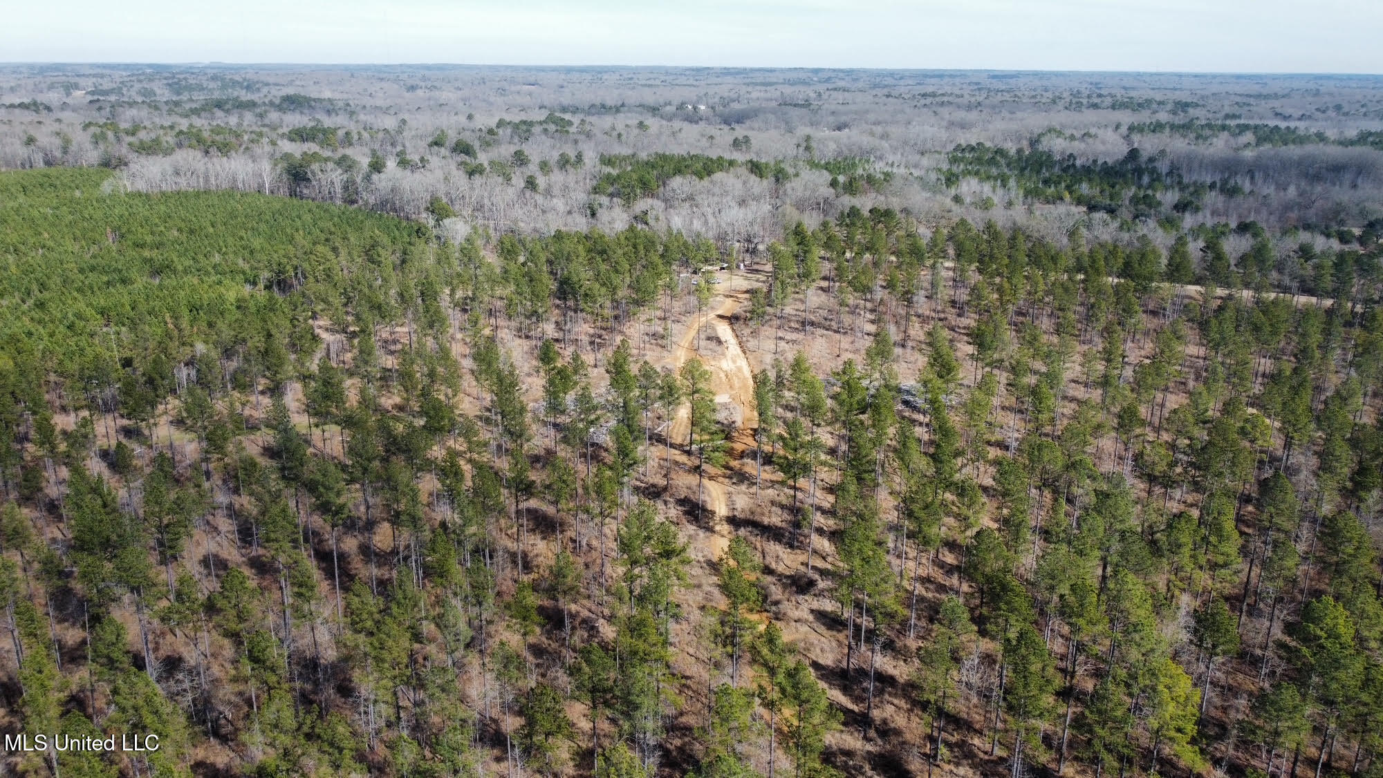 10 Dry Grove Road Terry, MS 39170 - Photo 19 of 46 520