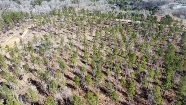 $595,000 | 10 Dry Grove Road, Terry, MS 39170