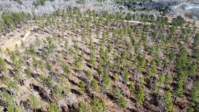 $595,000 | 10 Dry Grove Road, Terry, MS 39170