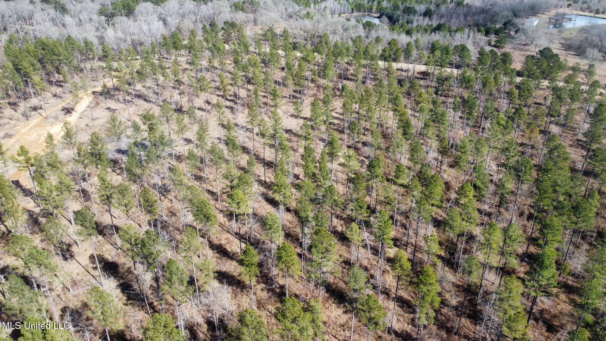 10 Dry Grove Road Terry, MS 39170 - Photo 20 of 46 521