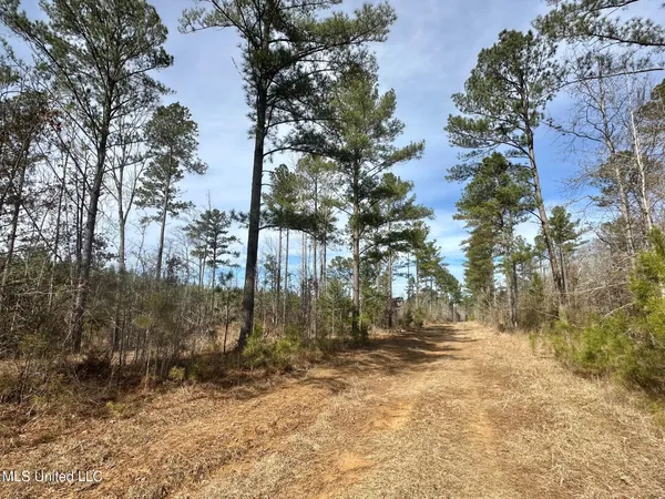 $595,000 | 10 Dry Grove Road, Terry, MS 39170