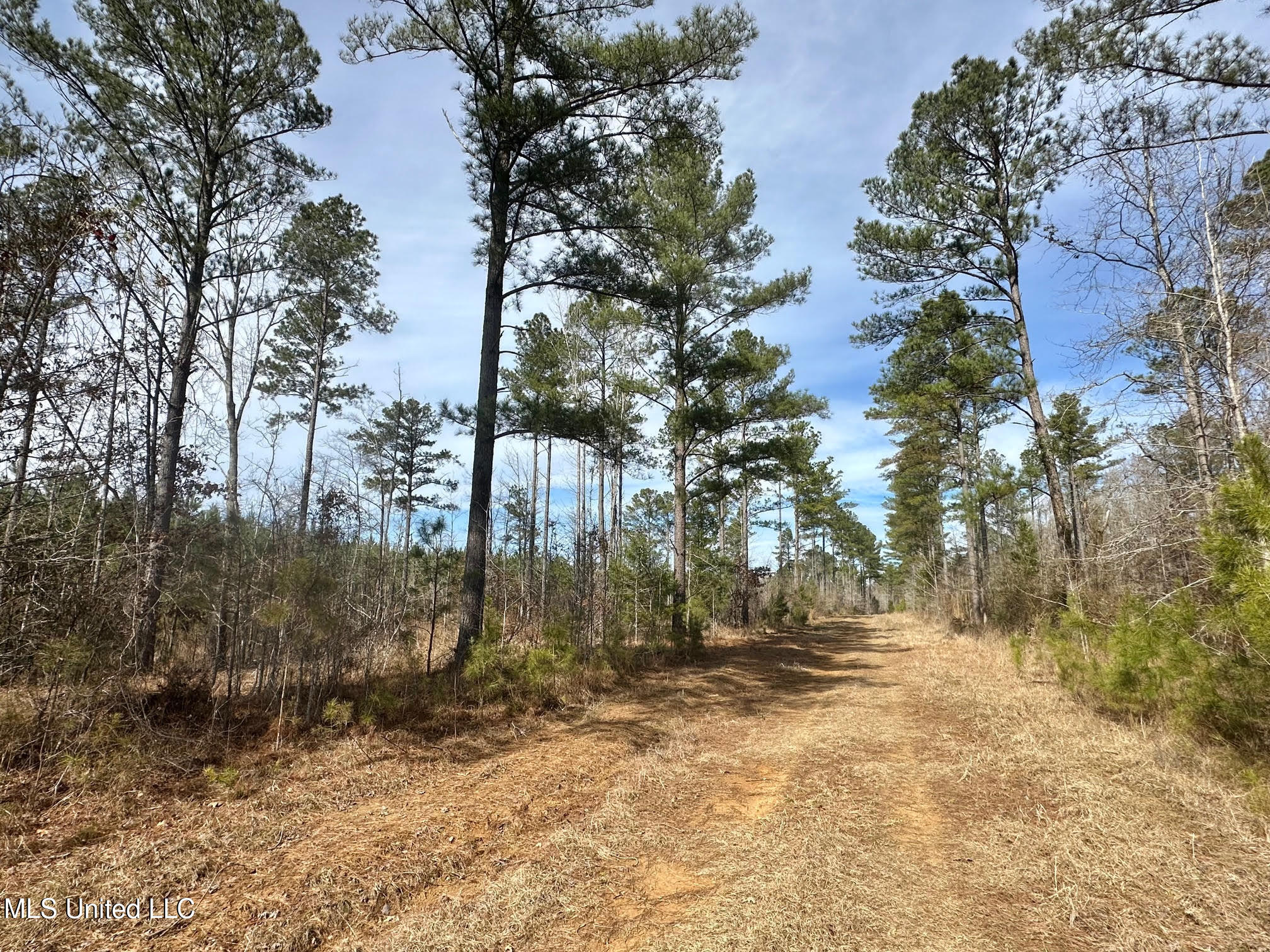 10 Dry Grove Road Terry, MS 39170 - Photo 24 of 46 528