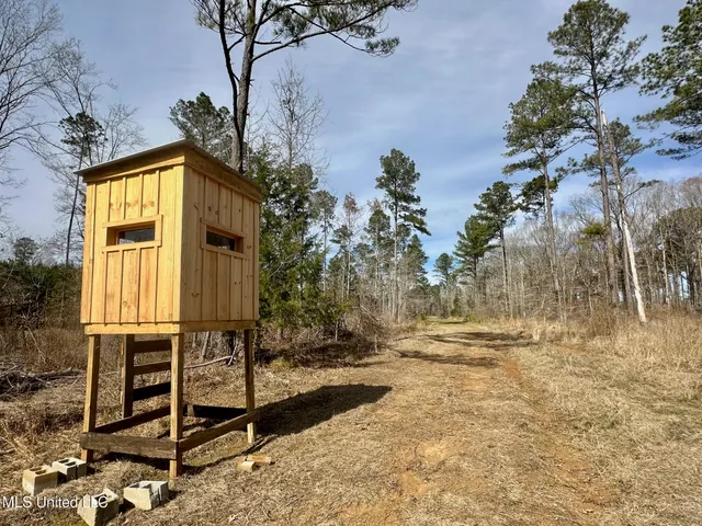 $595,000 | 10 Dry Grove Road, Terry, MS 39170