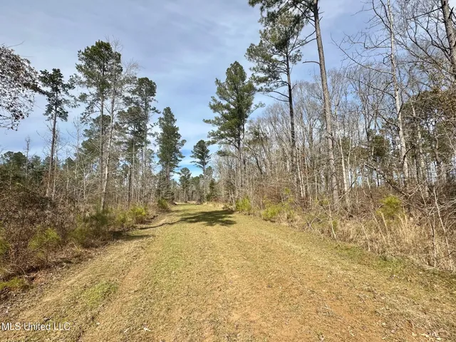 $595,000 | 10 Dry Grove Road, Terry, MS 39170