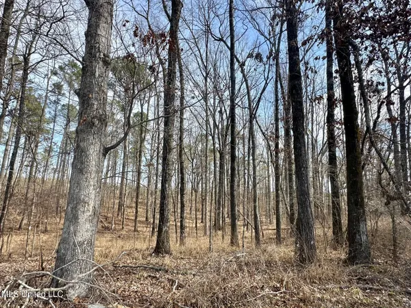 $595,000 | 10 Dry Grove Road, Terry, MS 39170