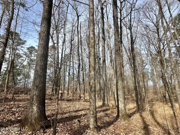 $595,000 | 10 Dry Grove Road, Terry, MS 39170
