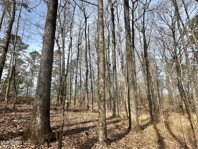 $595,000 | 10 Dry Grove Road, Terry, MS 39170