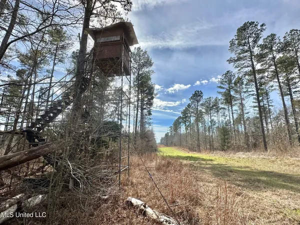 $595,000 | 10 Dry Grove Road, Terry, MS 39170