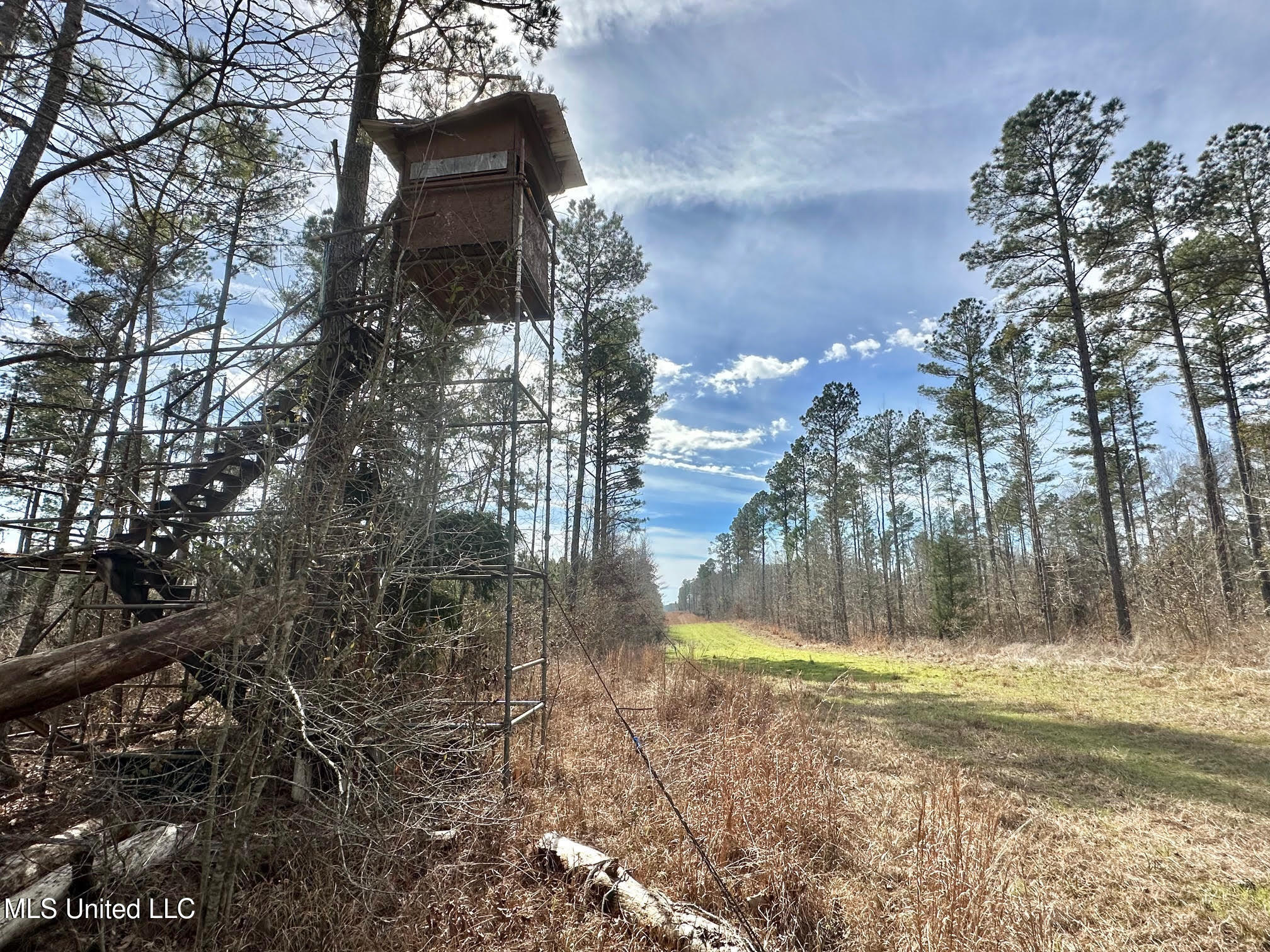 10 Dry Grove Road Terry, MS 39170 - Photo 32 of 46 536