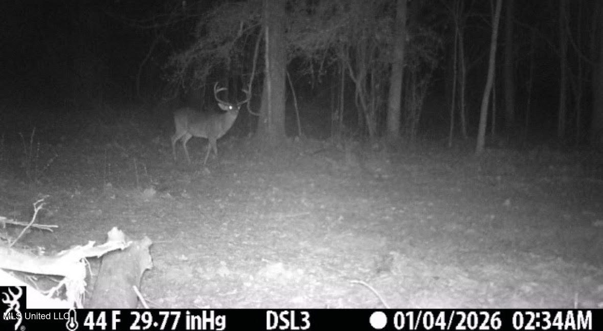 10 Dry Grove Road Terry, MS 39170 - Photo 34 of 46 687