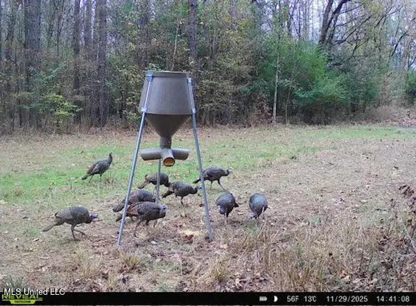 $595,000 | 10 Dry Grove Road, Terry, MS 39170