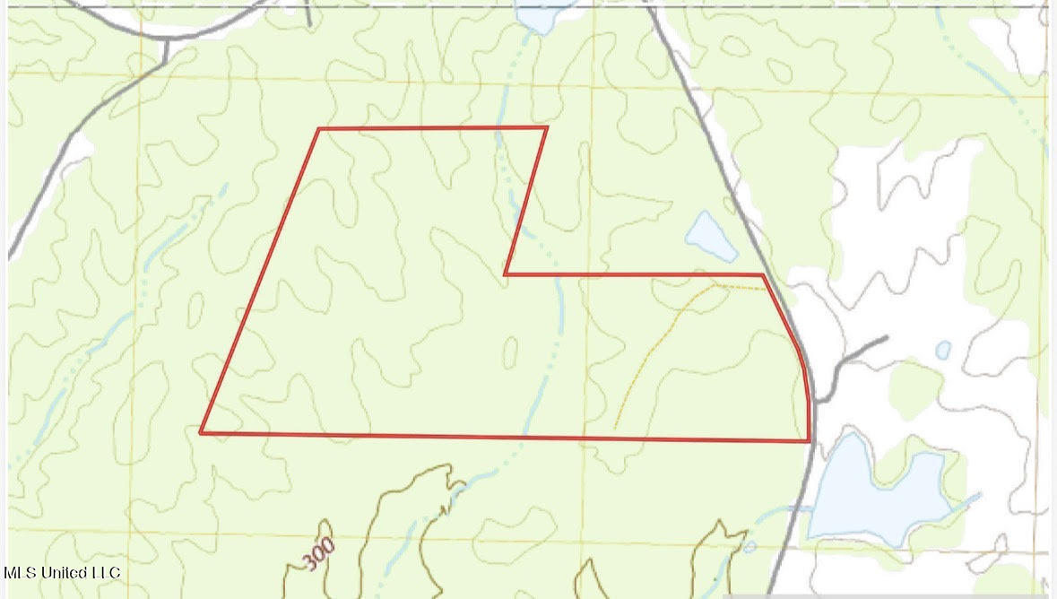 10 Dry Grove Road Terry, MS 39170 - Photo 40 of 46 701