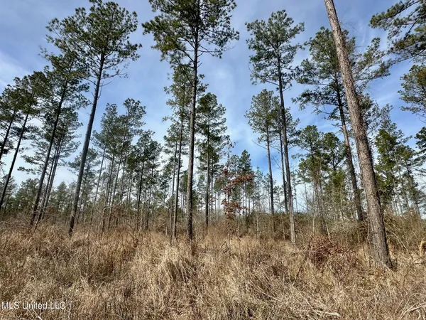 $595,000 | 10 Dry Grove Road, Terry, MS 39170