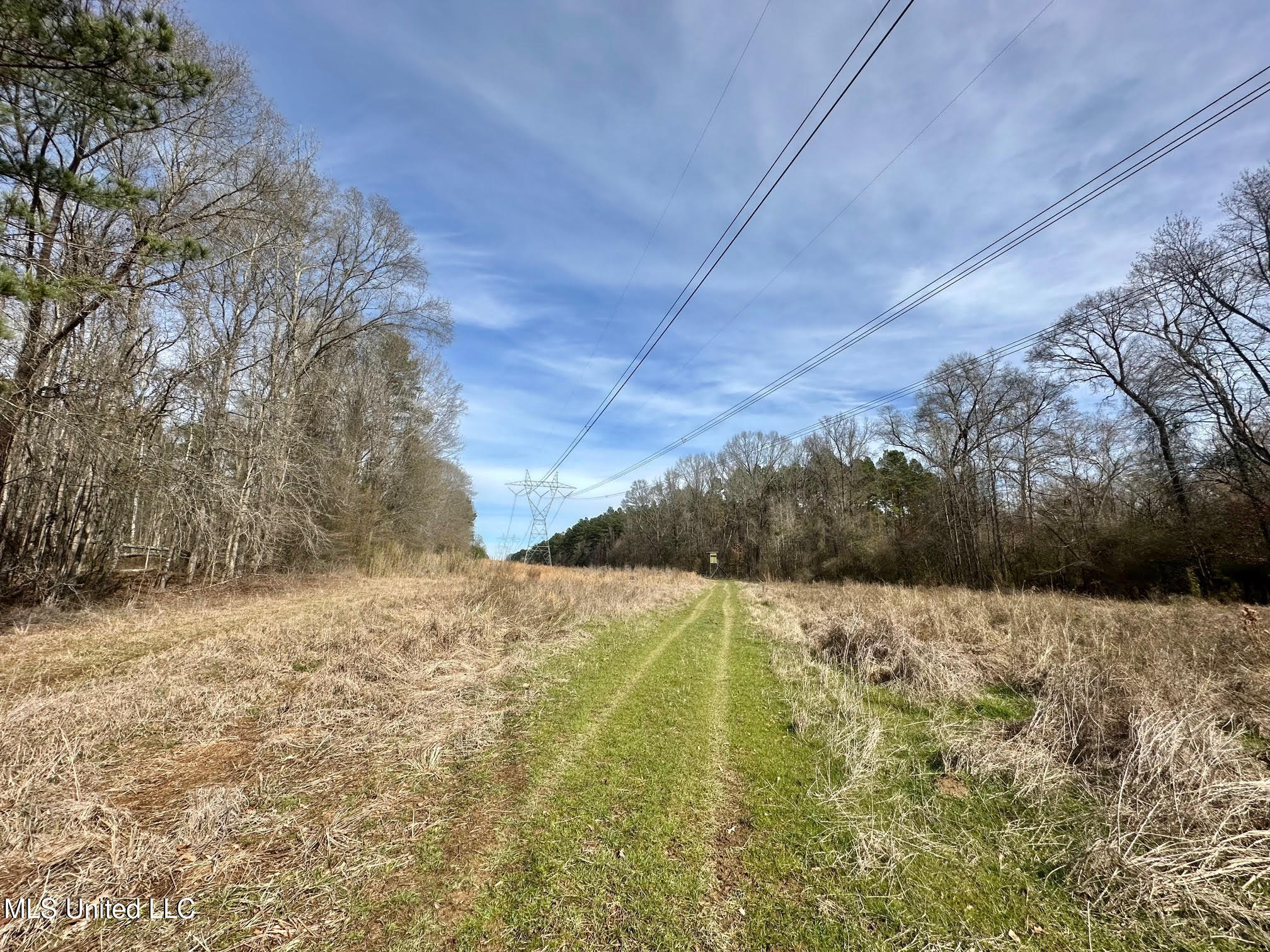 10 Dry Grove Road Terry, MS 39170 - Photo 6 of 46 507