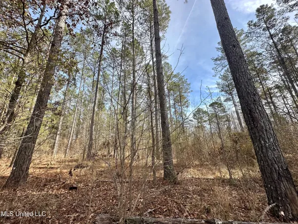 $595,000 | 10 Dry Grove Road, Terry, MS 39170