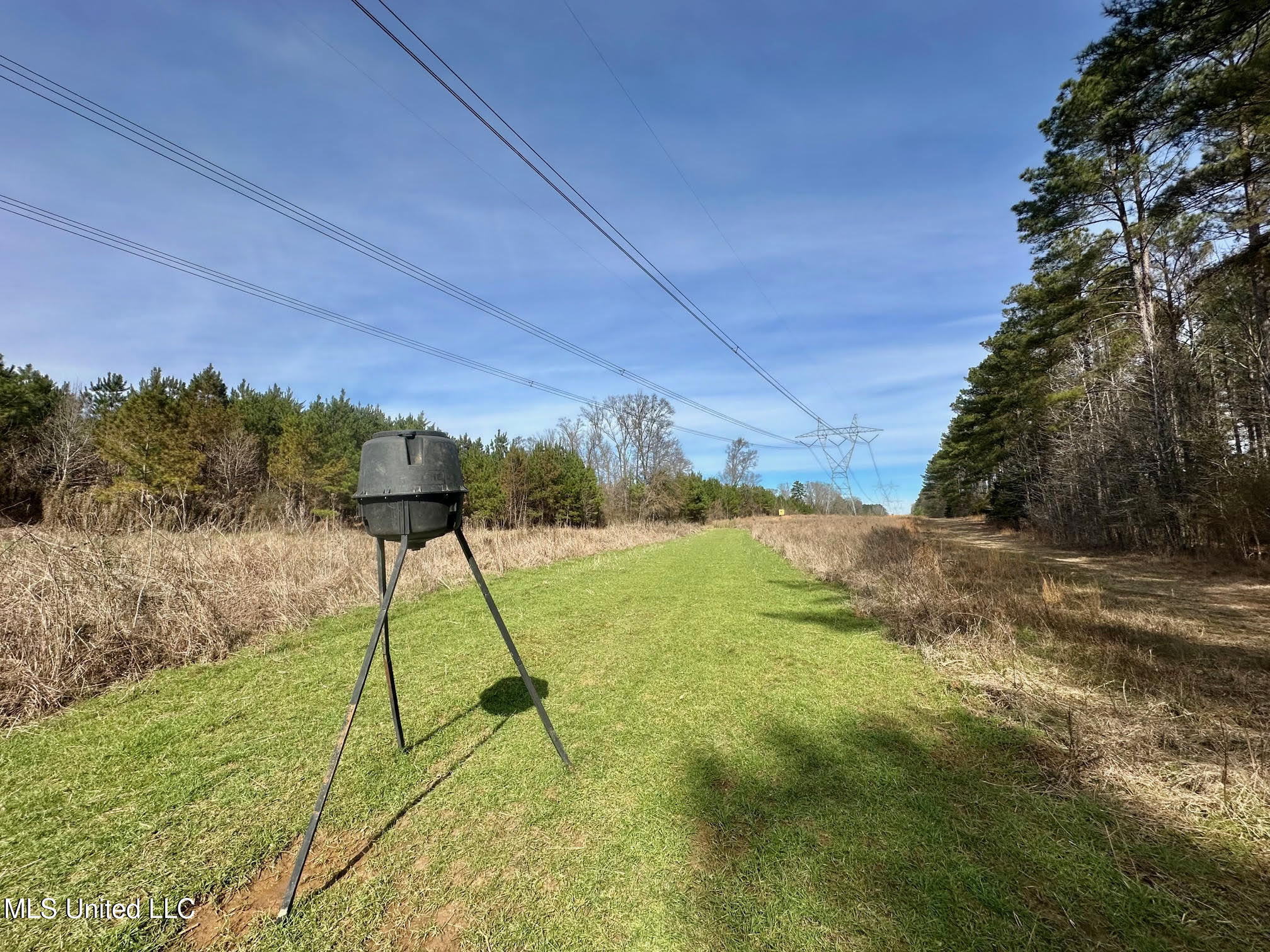 10 Dry Grove Road Terry, MS 39170 - Photo 10 of 46 511