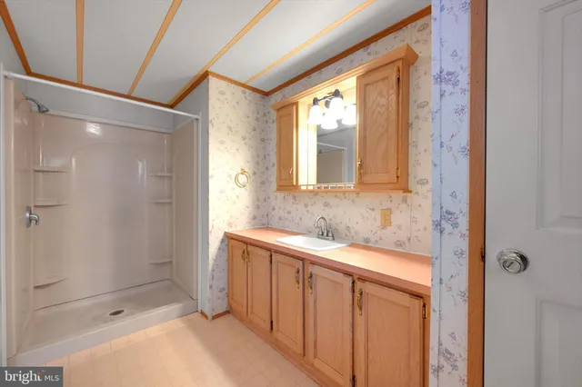 a bathroom with a sink and a shower