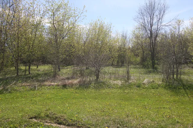 $40,000 | 15925 Applewood Court, Wadsworth, IL 60083