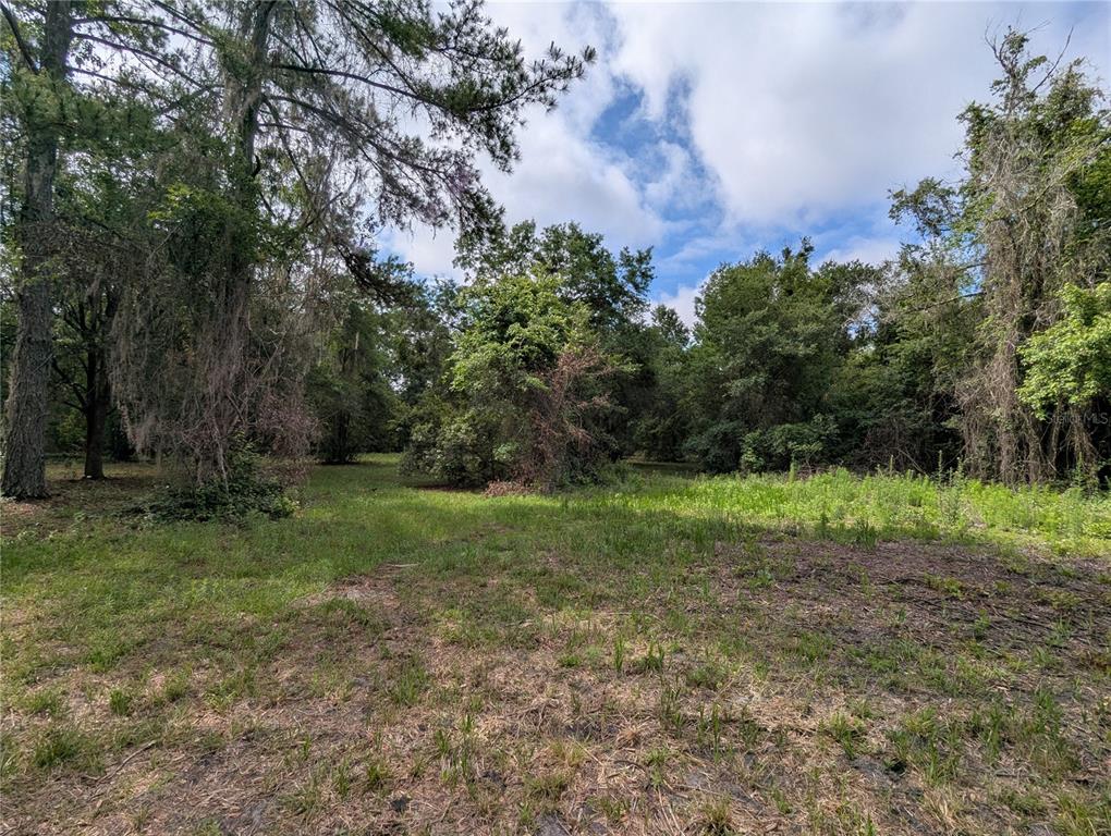 91st Street Alachua, FL 32615 - Photo 19 of 36