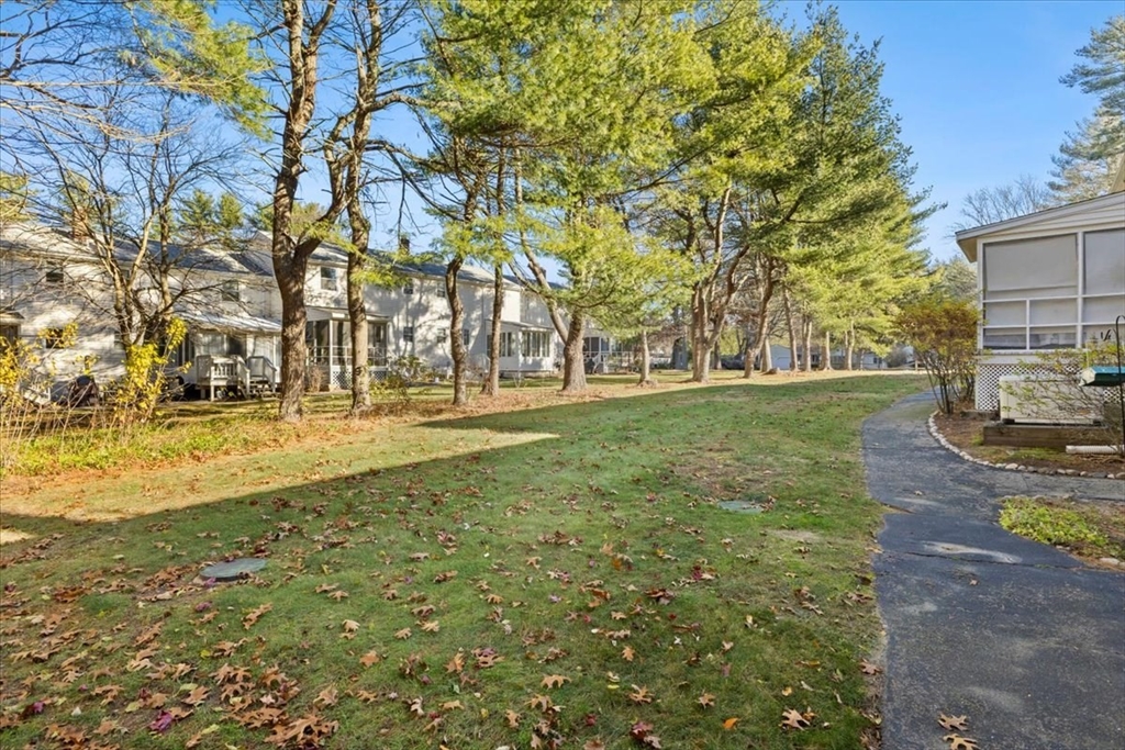 139 Burt Street, Unit 6 Norton, MA 02766 - Photo 5 of 31 a view of yard with tree