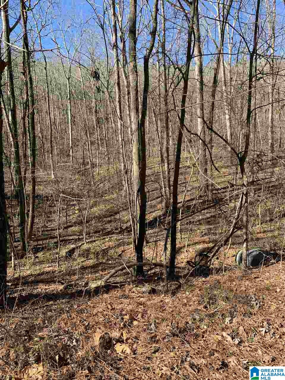 Valley Trail, Unit 881 Sumiton, AL 35148 - Photo 1 of 1