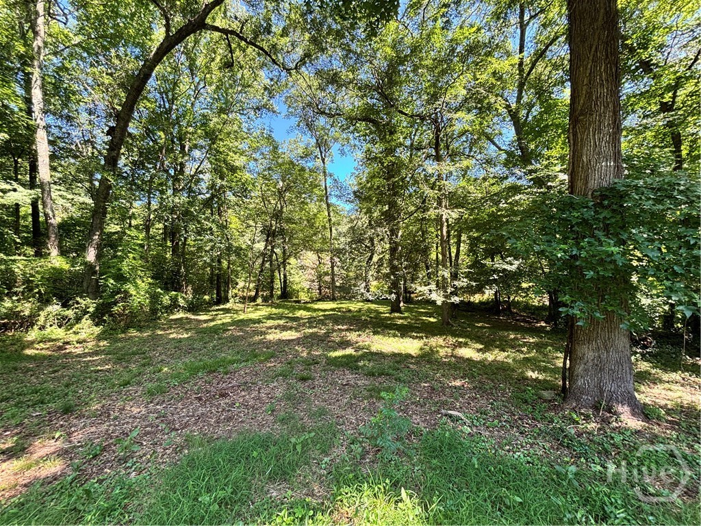 110 Saxon Woods Drive Athens, GA 30607 - Photo 33 of 33