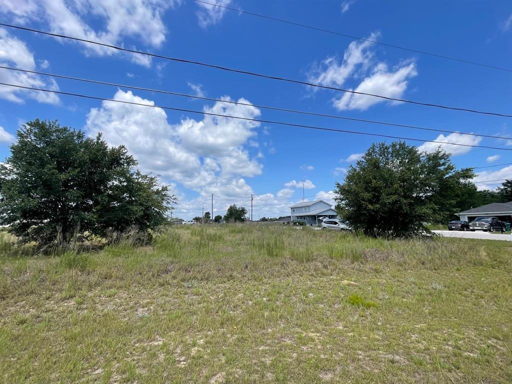 Walnut Run Ocala, FL 34480 - Photo 1 of 1 a view of a house with a yard