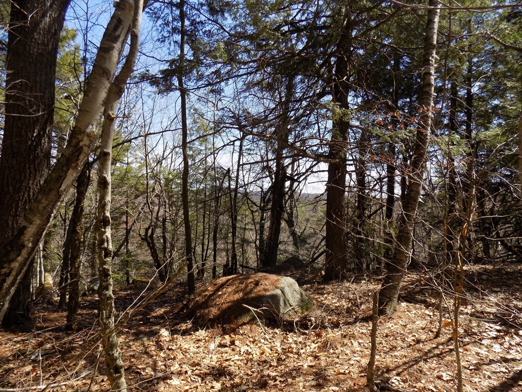 Lot 7 Skyline Ridge Road Becket, MA 01223 - Photo 9 of 14