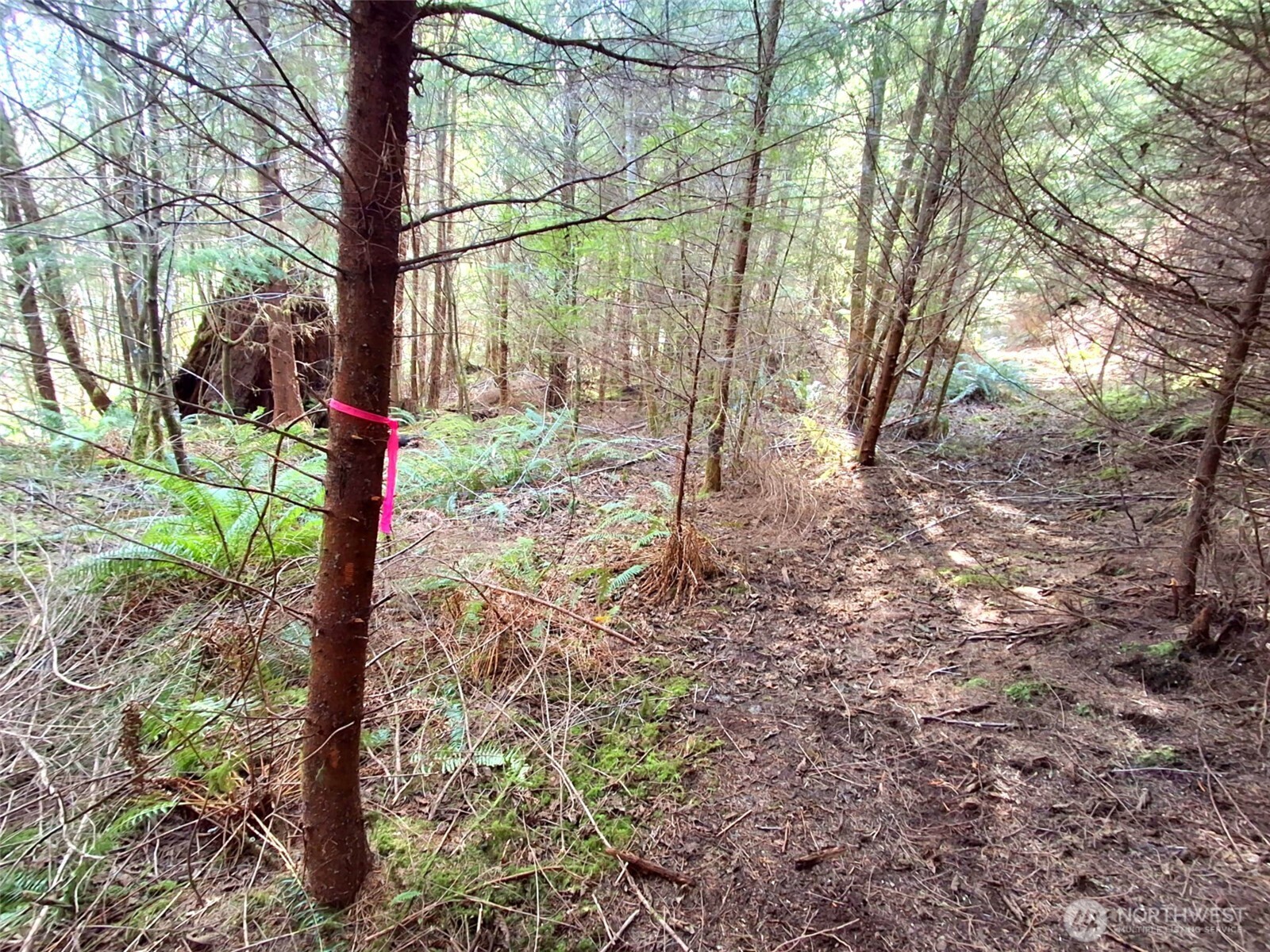 0 Parpala Road Naselle, WA 98638 - Photo 15 of 17