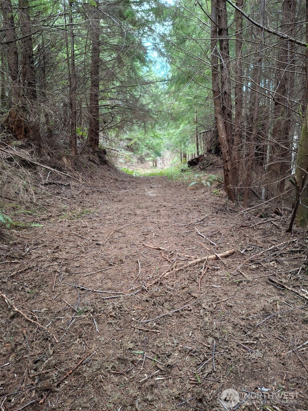 0 Parpala Road Naselle, WA 98638 - Photo 16 of 17