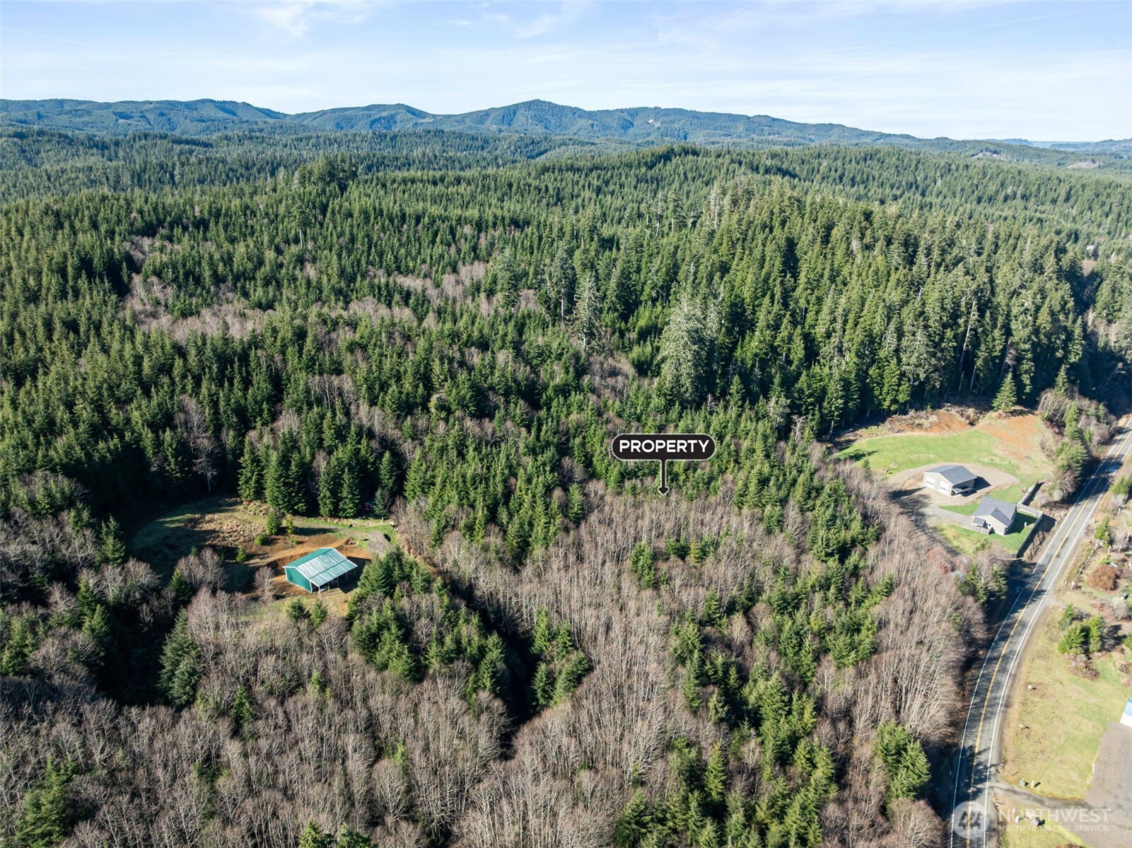 0 Parpala Road Naselle, WA 98638 - Photo 2 of 17
