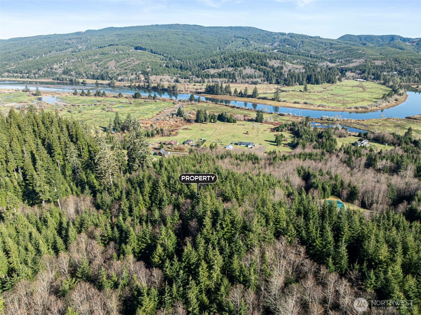 0 Parpala Road Naselle, WA 98638 - Photo 3 of 17