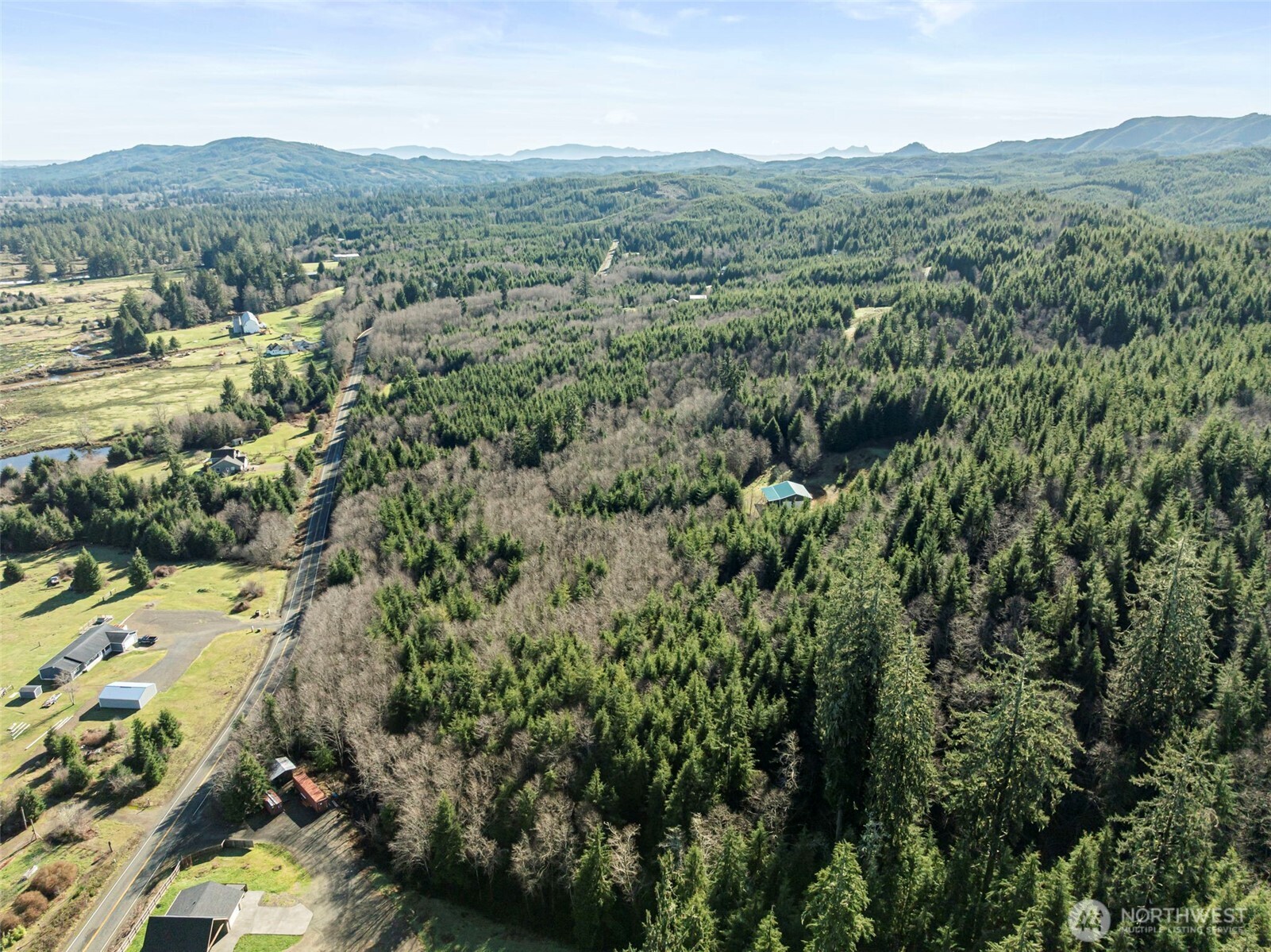 0 Parpala Road Naselle, WA 98638 - Photo 4 of 17