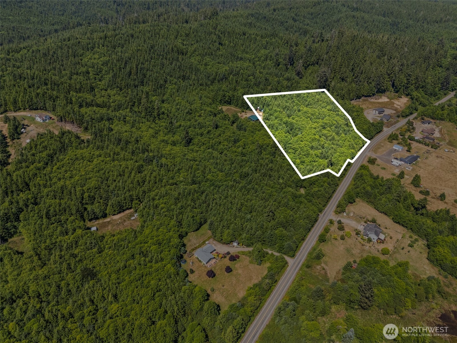 0 Parpala Road Naselle, WA 98638 - Photo 5 of 17