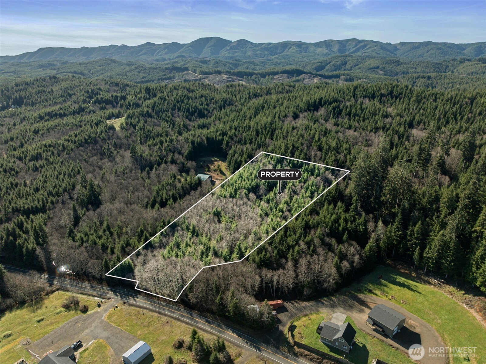 0 Parpala Road Naselle, WA 98638 - Photo 6 of 17