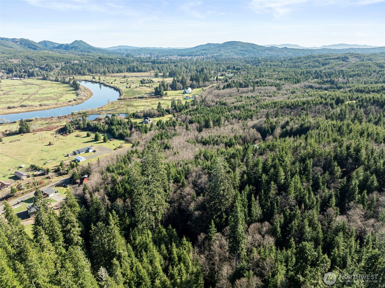 0 Parpala Road Naselle, WA 98638 - Photo 8 of 17