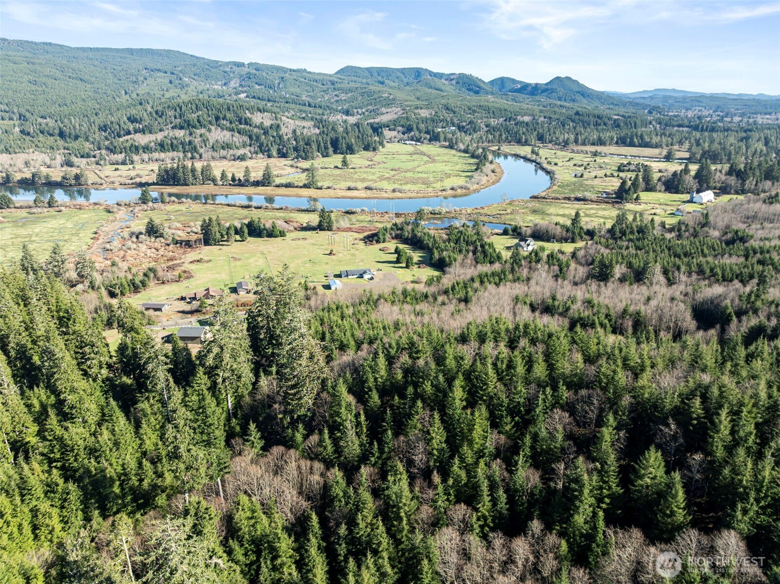 0 Parpala Road Naselle, WA 98638 - Photo 9 of 17