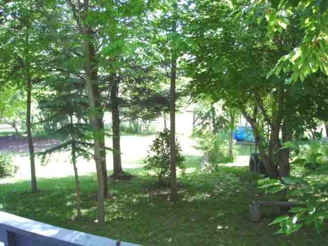 4209 West Gunthers Road Spokane, WA 99224 - Photo 6 of 9