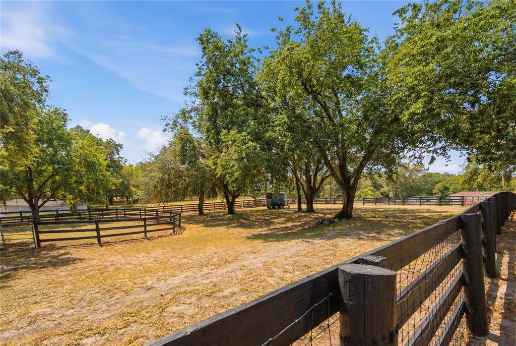 16723 Southeast 173rd Terrace Road Weirsdale, FL 32195 - Photo 34 of 43