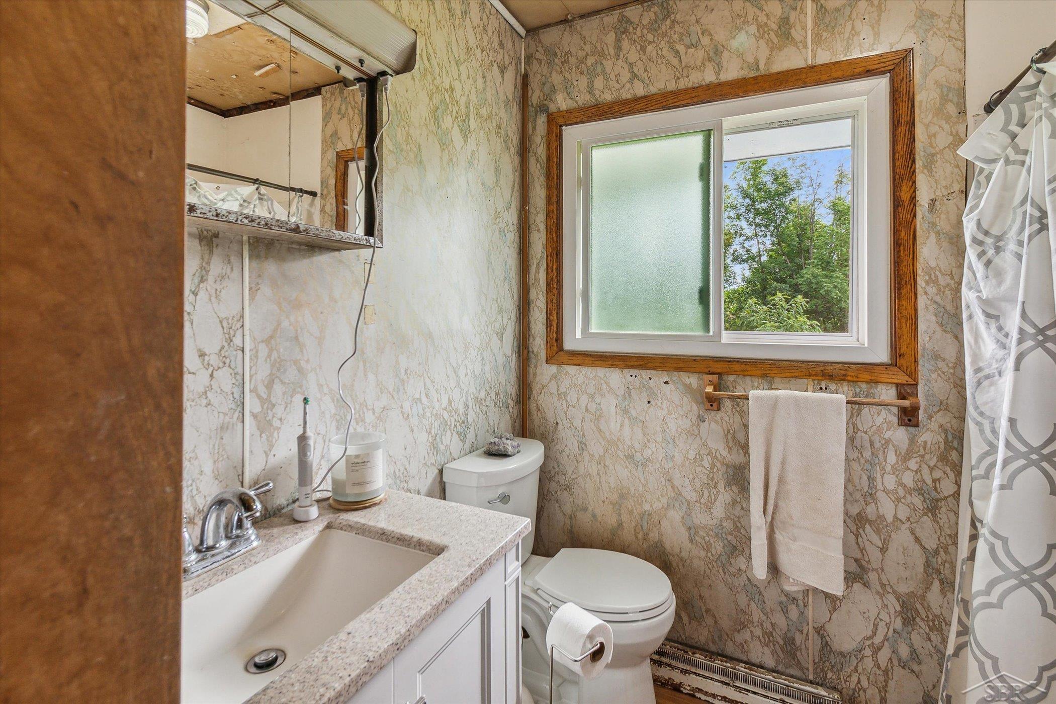 1270 East Jordan Road Mount Pleasant, MI 48858 - Photo 13 of 25 Gallery Image 13