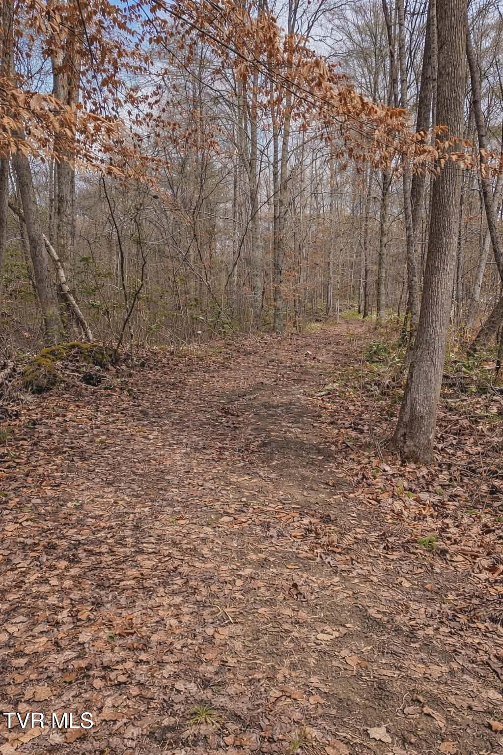 0 Byrd Creek Road Sneedville, TN 37869 - Photo 2 of 5 d9d703a7-80b6-4e97-a27d-e464e4e44fea