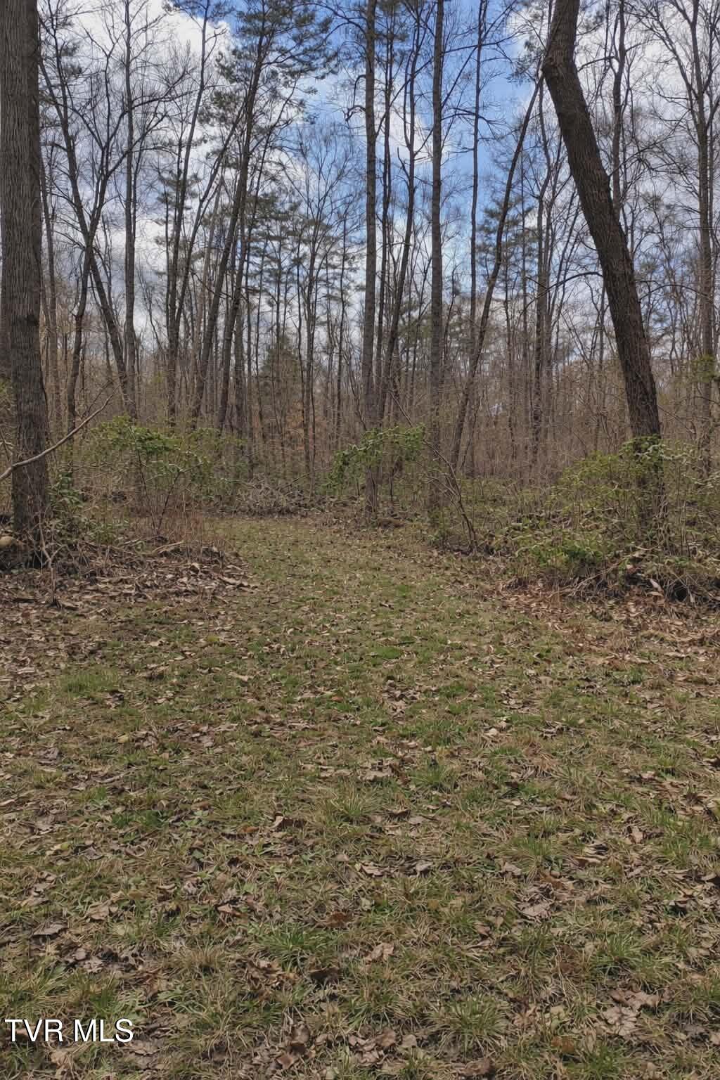0 Byrd Creek Road Sneedville, TN 37869 - Photo 3 of 5 fb15e42d-f556-42be-9f54-4e5520e7198a