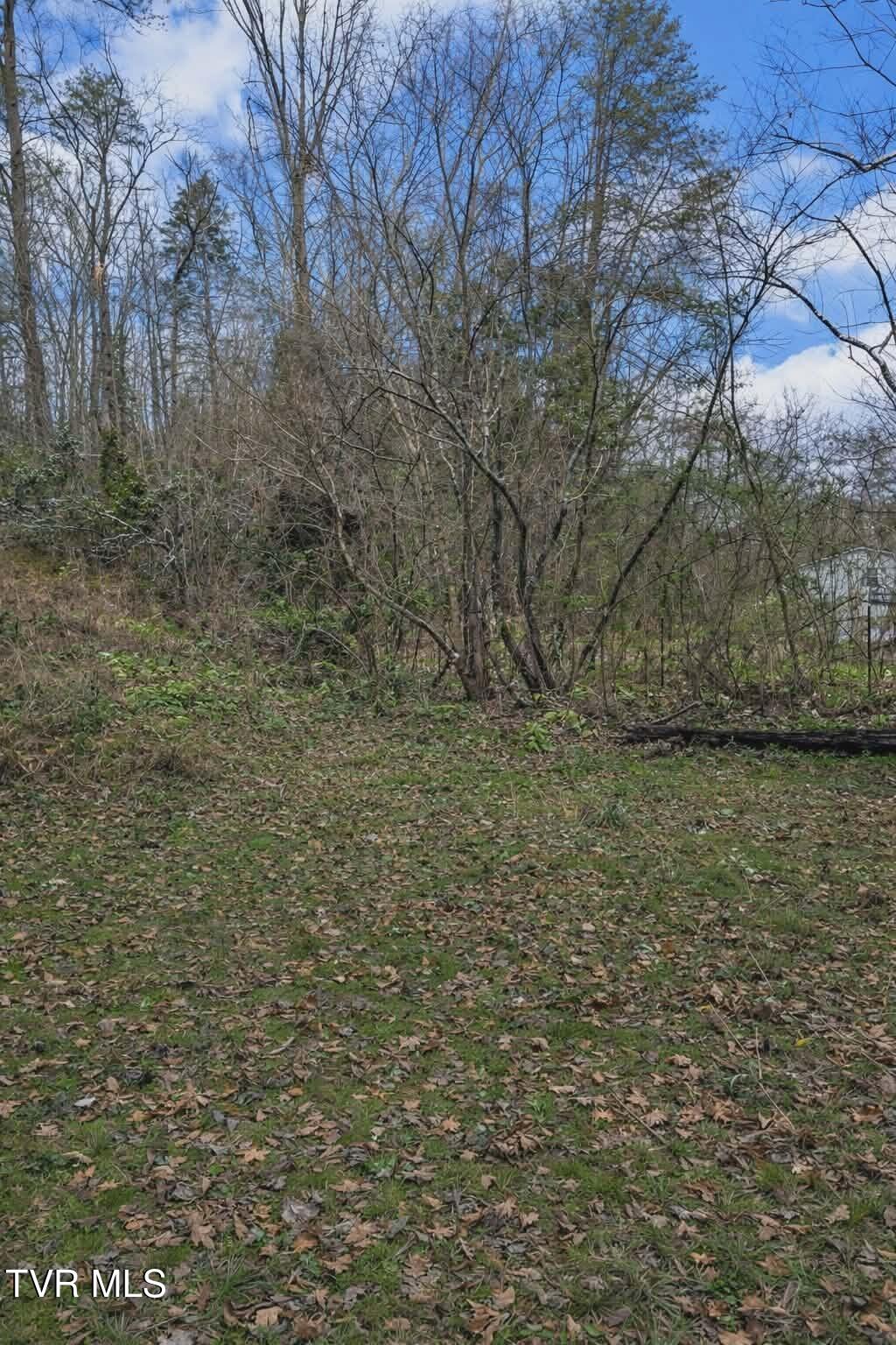 0 Byrd Creek Road Sneedville, TN 37869 - Photo 4 of 5 34c9d938-b2a0-40c7-8179-0533b69bdf7b (1)