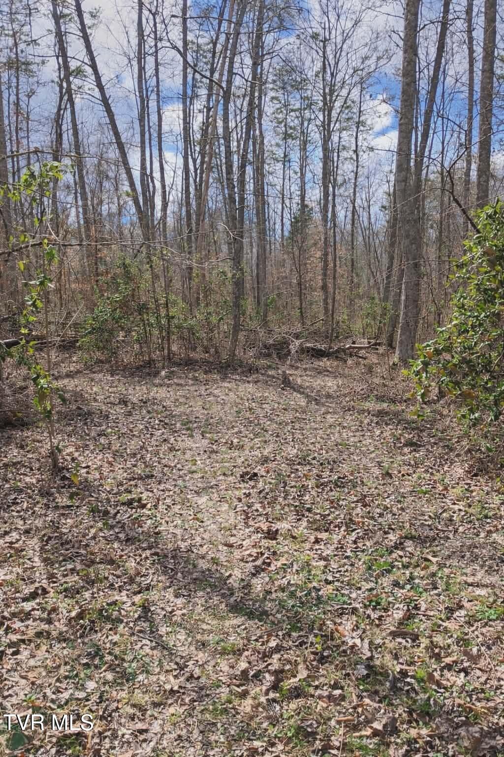 0 Byrd Creek Road Sneedville, TN 37869 - Photo 5 of 5 6bbbc6eb-3485-4c6a-8404-407aa07df2b5