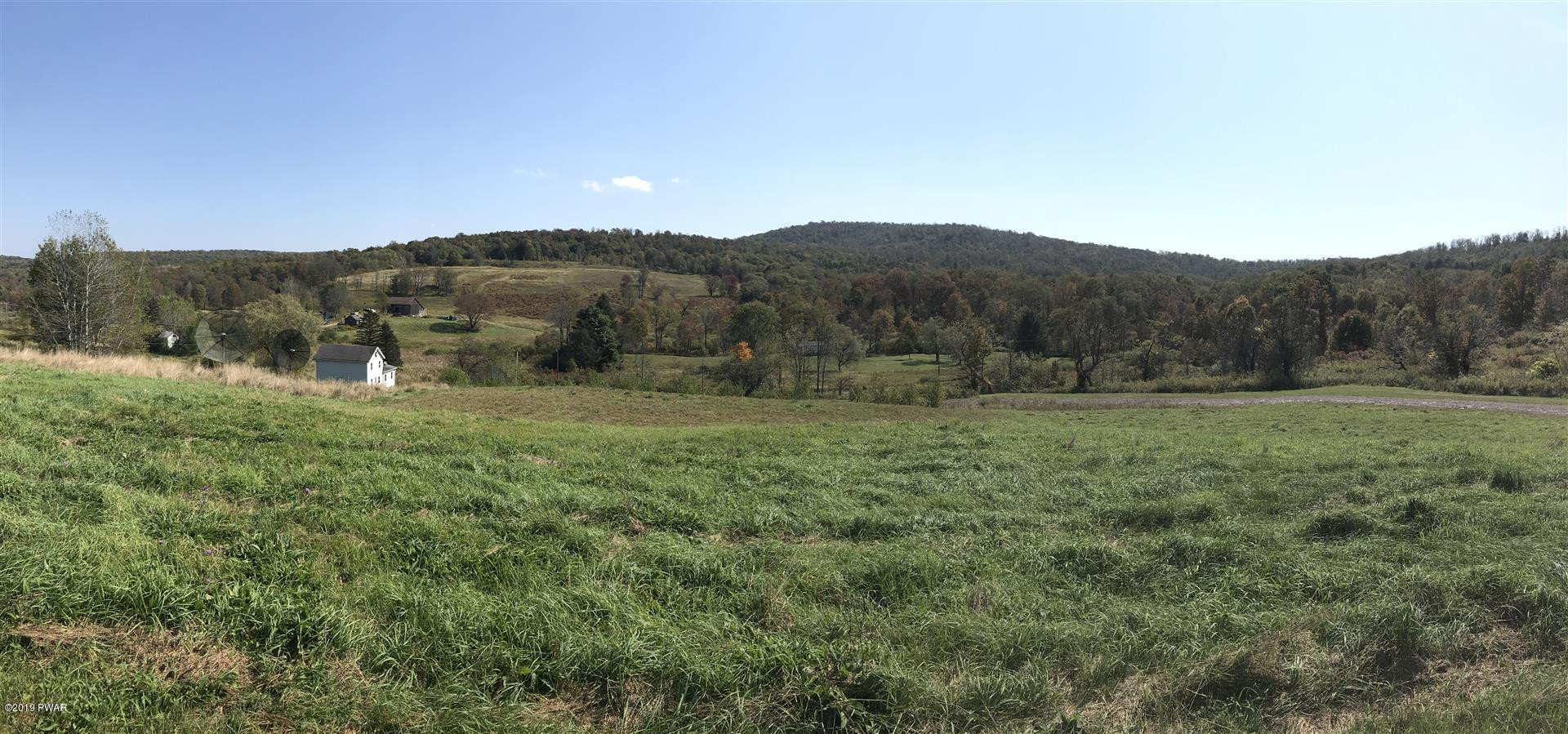 695 Pine Mill Road Equinunk, PA 18417 - Photo 56 of 68