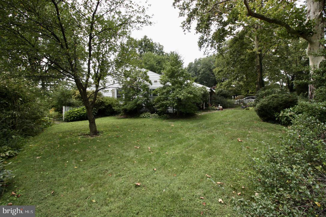 12830 Lauran Road Hagerstown, MD 21742 - Photo 3 of 27 Side yard: spacious and green!