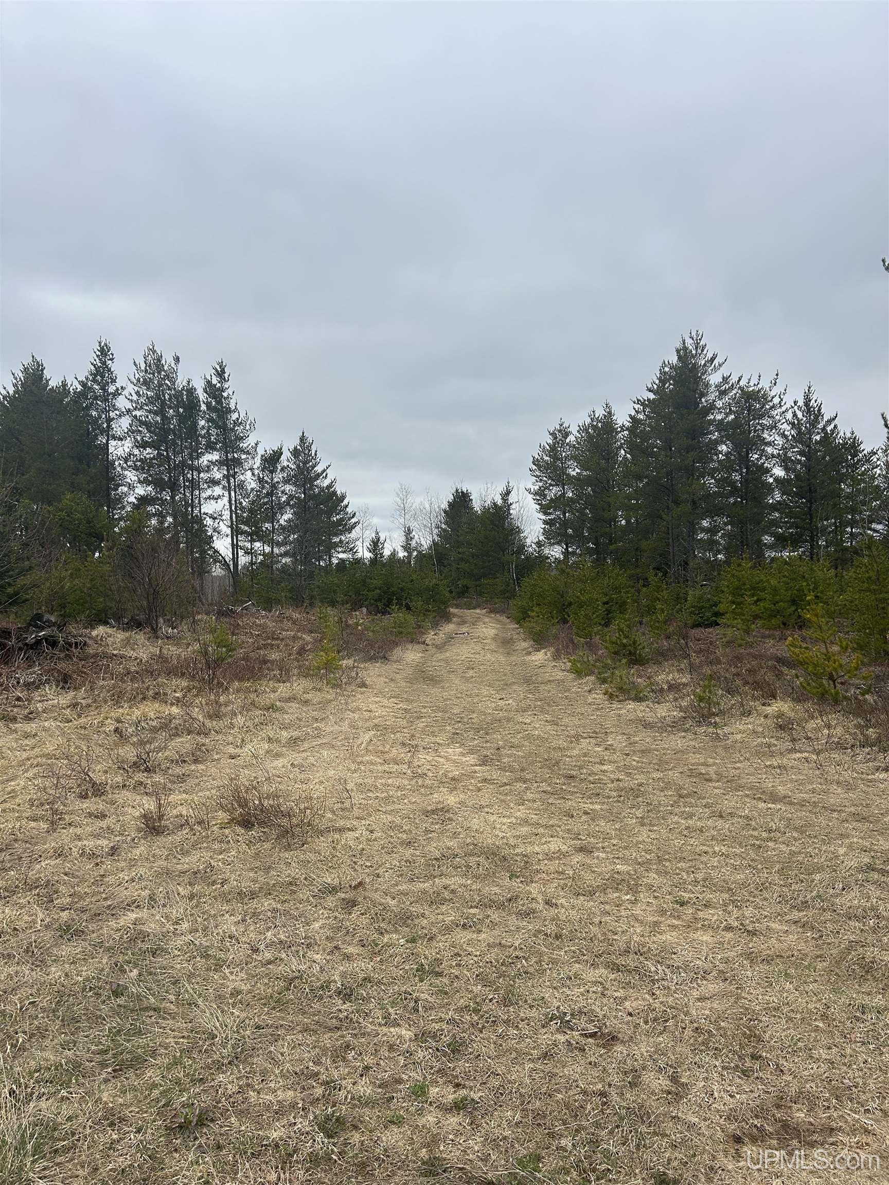 Parcel 3-off Parcel 3-off Johnson Lake Road Gwinn, MI 49841 - Photo 5 of 9
